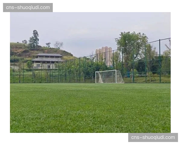 重庆铜梁龙开创双主场模式：根据对手强弱切换龙兴足球场与铜梁龙体育场